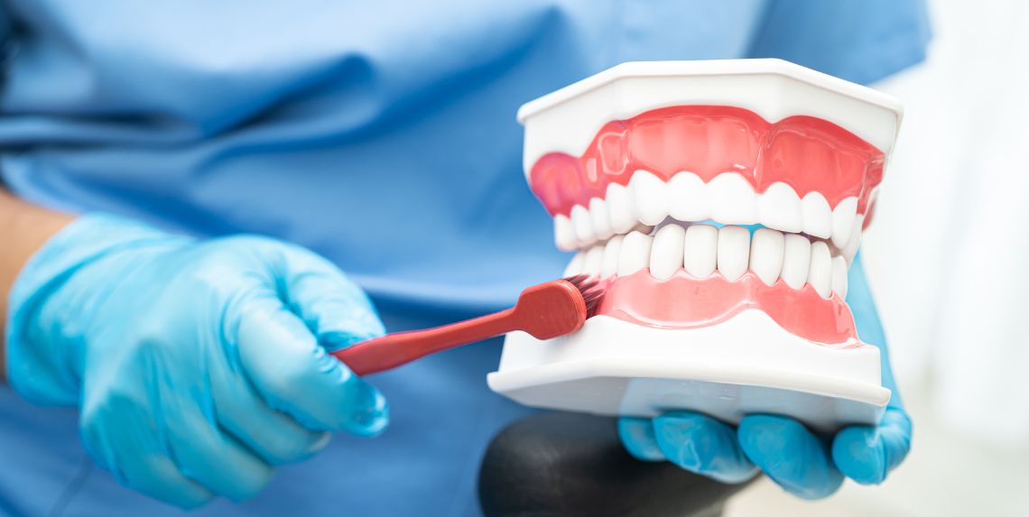 Dentista mostrando cómo cepillarse los dientes correctamente con un modelo dental y un cepillo de dientes